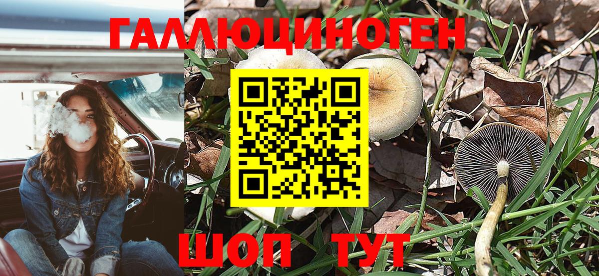 Галлюциногенные грибы Psilocybe  Псилоцибиновые грибы Psilocybine cubensis  Воскресенск 