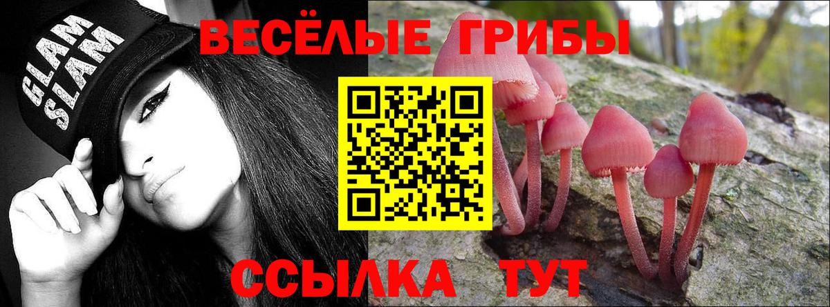 Воскресенск  Псилоцибиновые грибы Psilocybe  Галлюциногенные грибы Magic Shrooms  Вход с VPN 