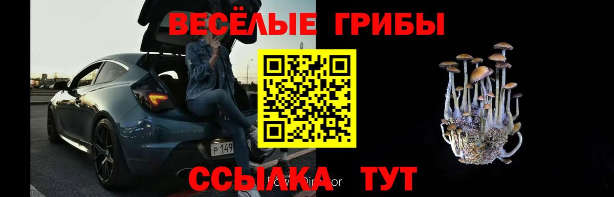 APVP Воскресенск