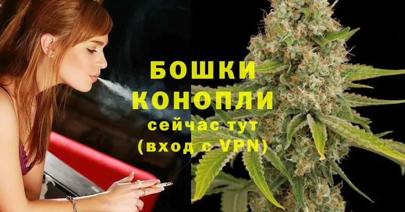 Бошки марихуана THC 21%  купить  цена  Воскресенск 